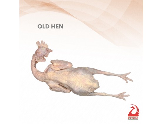 Chicken