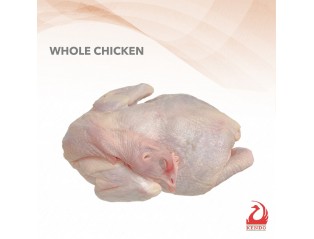 Chicken 1.5kg - 1.6kg +- 鸡